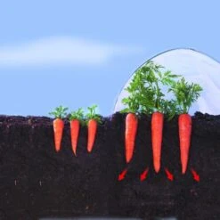 Kweekfolie / Tunnelfolie - 2 × 10 M -Buitentuinwinkel 1534088192 2 600