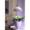 Groeilamp Led Florabooster 500 - 6,5W - Wit 2 Groeilamp Led Florabooster 500 - 6,5W - Wit -Buitentuinwinkel 1677504262 1 600