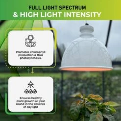 Groeilamp Led Florabooster 500 - 6,5W - Wit 11 Groeilamp Led Florabooster 500 - 6,5W - Wit -Buitentuinwinkel 1677504263 4 600