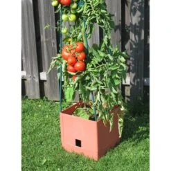 Plantentoren Maxitom Met Waterreservoir - Terracotta 10 Plantentoren Maxitom Met Waterreservoir - Terracotta -Buitentuinwinkel 1677510667 3 600