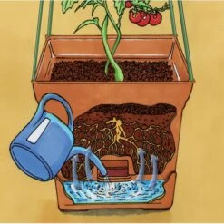 Plantentoren Maxitom Met Waterreservoir - Terracotta 11 Plantentoren Maxitom Met Waterreservoir - Terracotta -Buitentuinwinkel 1677510668 5 600