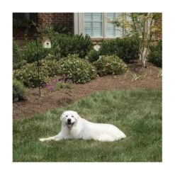 Pet Safe Outdoor Anti-blafhuisje -Buitentuinwinkel antiblafhuisje 1484054468 4 600