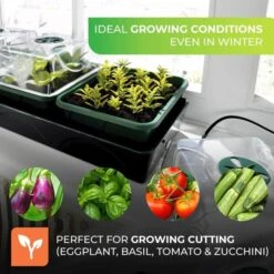 Elektrische Vensterbankkas Met Waterreservoir 11 Elektrische Vensterbankkas Met Waterreservoir -Buitentuinwinkel elektrische kweekset 1674116048 5 600