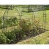 Fruitkooi Lang 3 × 1 × 1,5 M 1 Fruitkooi Lang 3 × 1 × 1,5 M -Buitentuinwinkel fruitkooi 3 x 1 x 15m 1484054956 1 600