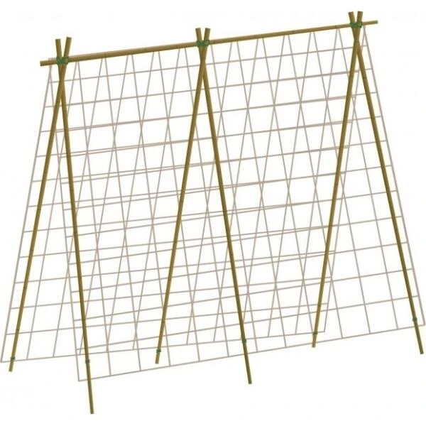 Groeinet Bonen En Erwten 1,8 × 1,8 M 3 Groeinet Bonen En Erwten 1,8 × 1,8 M