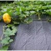 Gronddoek 2 M × 5 M (90 G/m²) -Buitentuinwinkel gronddoek 2 m x 5 m 100gm 1553159982 1 600