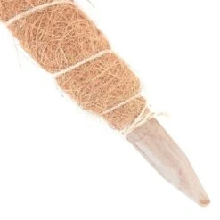 Kokos Kamerplantensteun - Plantstok Ø45 Mm × 1,2 M 7 Kokos Kamerplantensteun - Plantstok Ø45 Mm × 1,2 M -Buitentuinwinkel kokos plantstok 45 mm x 12 m 1622716784 2 600