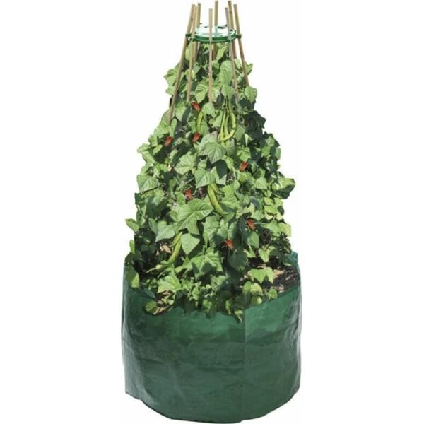 Kweekzak Bonen En Erwten 3 Kweekzak Bonen En Erwten