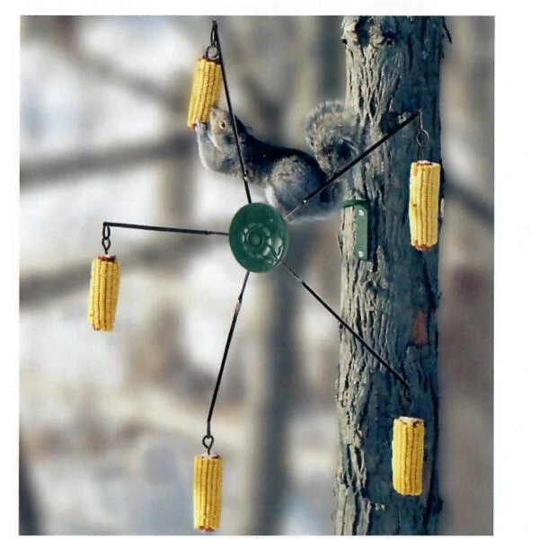 Maïsmolen Voor Eekhoorns 3 Maïsmolen Voor Eekhoorns