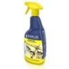 EDIALUX Mierenspray 1 Liter -Buitentuinwinkel mierenspray 1 l 1484056285 1 600