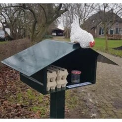 Nieuwsgierige Kip Tuinbeeld -Buitentuinwinkel nieuwsgierige kip 1609930328 1 600