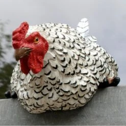 Buitentuinwinkel -Buitentuinwinkel nieuwsgierige tafelkip 1568377839 2 600