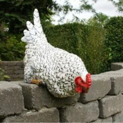 Nieuwsgierige Kip Tuinbeeld -Buitentuinwinkel nieuwsgierige tafelkip 1568377839 3 600