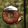 Donut Voederring Pindanoten 2 Donut Voederring Pindanoten -Buitentuinwinkel pindavoedersilo donut 1484054375 1 600