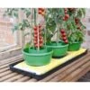 Plant- En Gietpot Groen - Set Van 3 Stuks 2 Plant- En Gietpot Groen - Set Van 3 Stuks -Buitentuinwinkel plant en gietpot 1484054799 1 600