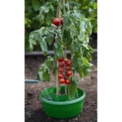 Plant- En Gietpot Groen - Set Van 3 Stuks -Buitentuinwinkel plant en gietpot 1484054799 4 600