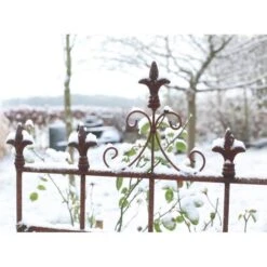 Buitentuinwinkel -Buitentuinwinkel plantensteun franse lelie 1484068000 2 600