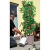 Plantentoren Maxitom Met Waterreservoir - Antraciet -Buitentuinwinkel plantentoren maxitom antraciet 1677571235 1 600