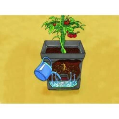 Plantentoren Maxitom Met Waterreservoir - Antraciet 10 Plantentoren Maxitom Met Waterreservoir - Antraciet -Buitentuinwinkel plantentoren maxitom antraciet 1677571235 3 600