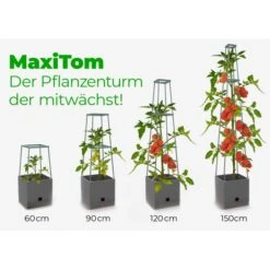 Plantentoren Maxitom Met Waterreservoir - Antraciet 11 Plantentoren Maxitom Met Waterreservoir - Antraciet -Buitentuinwinkel plantentoren maxitom antraciet 1677571236 4 600