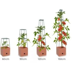 Plantentoren Maxitom Met Waterreservoir - Terracotta 13 Plantentoren Maxitom Met Waterreservoir - Terracotta -Buitentuinwinkel plantentoren maxitom terracotta 1680165024 1 600