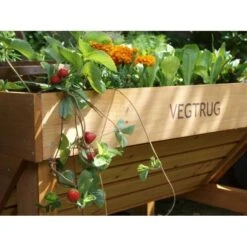 Vegtrug Verhoogde Kweektafel - 1 × 0,8 × 0,8 M -Buitentuinwinkel vegtrug 1 m 1484054491 4 600