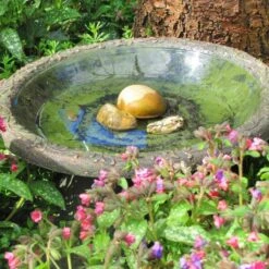 Buitentuinwinkel -Buitentuinwinkel vogelbad rustiek xl kunststof 1660120179 2 600