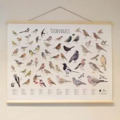 Wanddoek Tuinvogels -Buitentuinwinkel wandkaart tuinvogels 1541600712 1 600