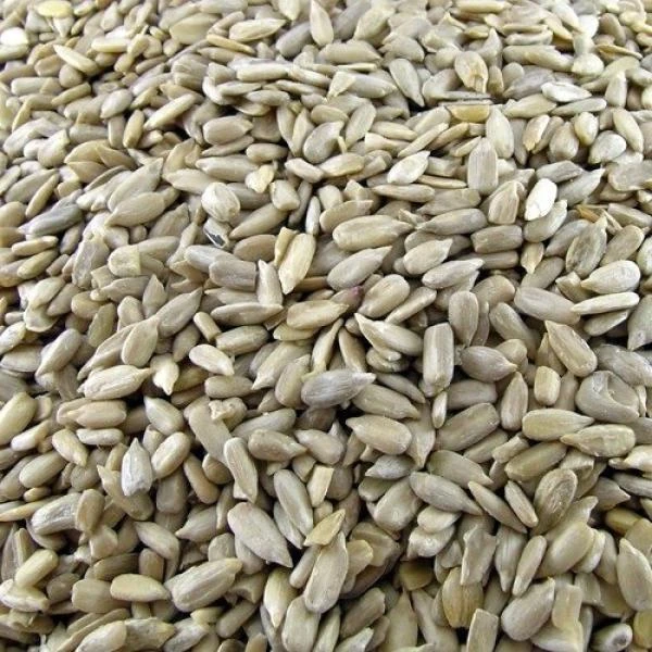 Gepelde Zonnebloempitten - 4 Kg 4 Gepelde Zonnebloempitten - 4 Kg - Afbeelding 2